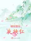 爱心形的巧克力